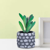 Urbane Home Artificial Plants For Home Décor|Natural Looking Indoor Fake Plants With Pot|Artificial Flowers For Decoration (Green)